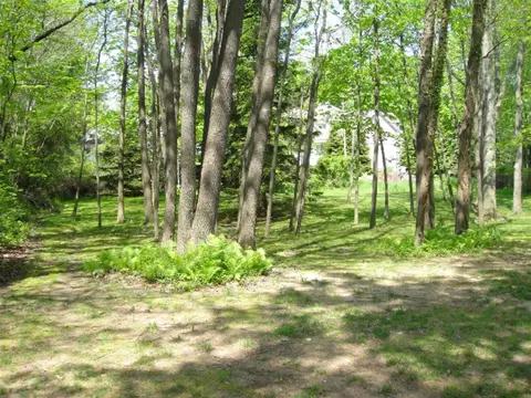 6935 2nd, Douglas, MI 49406 photo 2