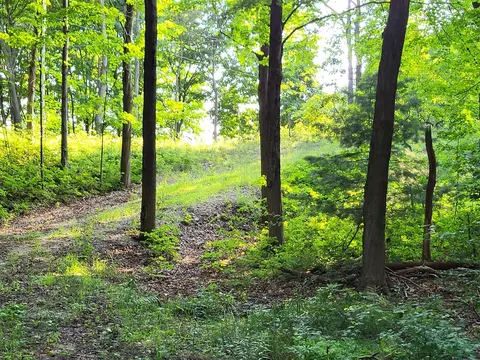2541 Blue Star, Fennville, MI 49408