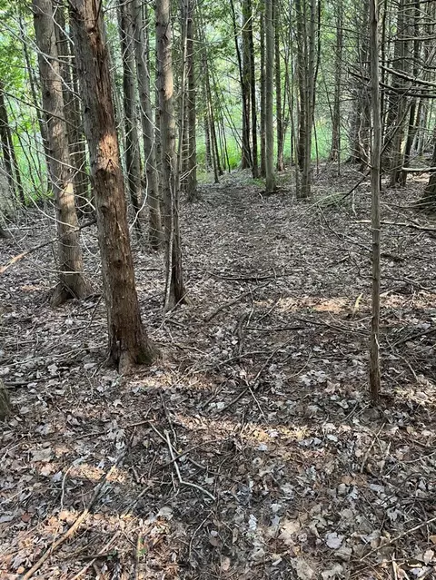 Swamp Rd, Frankfort, MI 49635