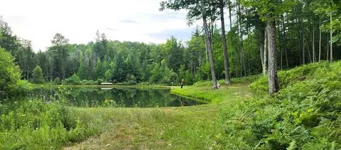 8800 E Arnold Lk, Harrison, MI 48625 photo 47
