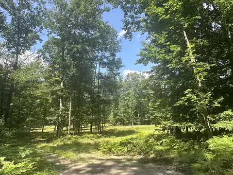 3890 W Hammett, Pentwater, MI 49449