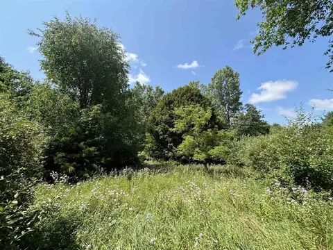 10 Gale, Morrice, MI 48857