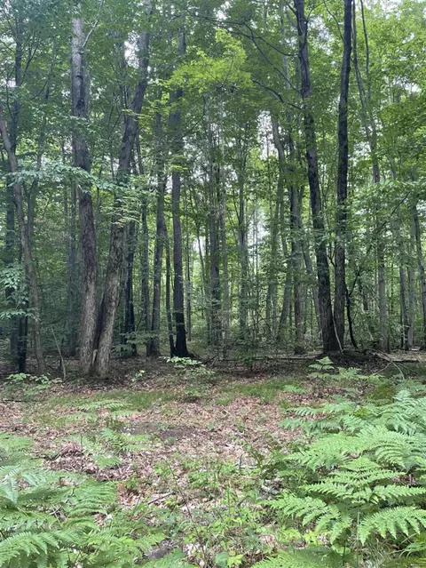 N Forest Lane, Scottville, MI 49454