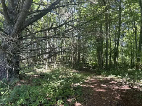 0 Drew Ln, South Haven, MI 49090