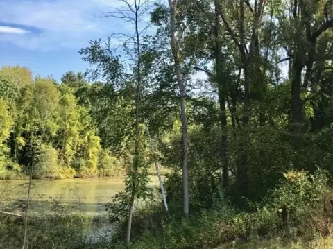 0 148th, Spring Lake, MI 49456 photo 3