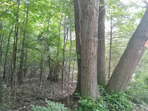 00 Kerry And Archer, Brethren, MI 49619 photo 5