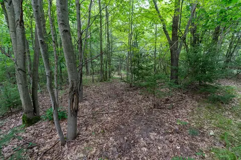 40 Indian Lk, Remus, MI 49340 photo 9