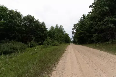 40 Indian Lk, Remus, MI 49340 photo 12