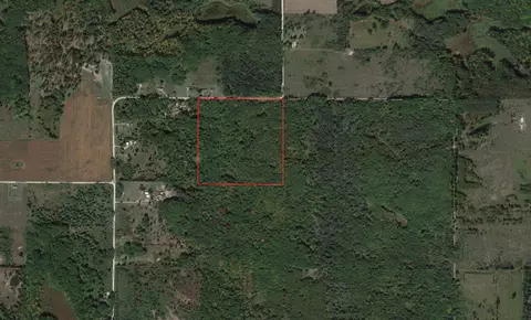 40 Indian Lk, Remus, MI 49340 photo 13