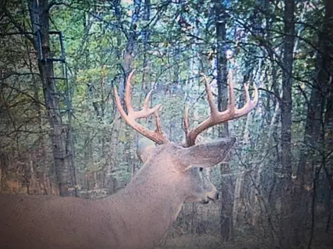 80 12 Mile, Remus, MI 49340 photo 33