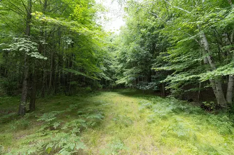 80 12 Mile, Remus, MI 49340 photo 3