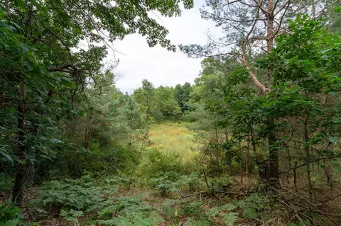 80 12 Mile, Remus, MI 49340 photo 8