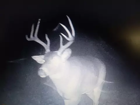 80 12 Mile, Remus, MI 49340 photo 32
