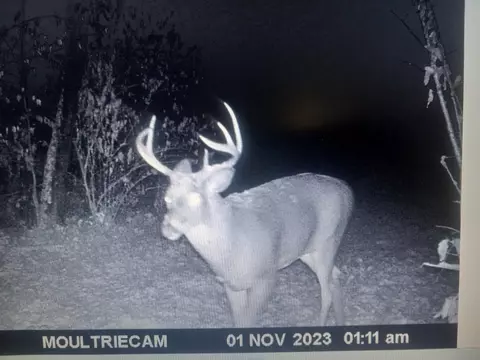 80 12 Mile, Remus, MI 49340 photo 31