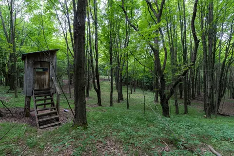 80 12 Mile, Remus, MI 49340 photo 13