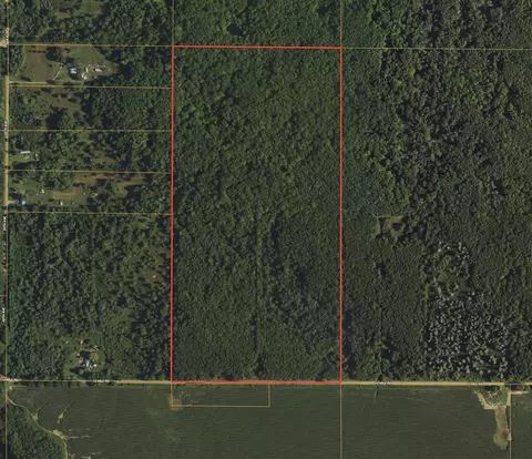 80 12 Mile, Remus, MI 49340 photo 34