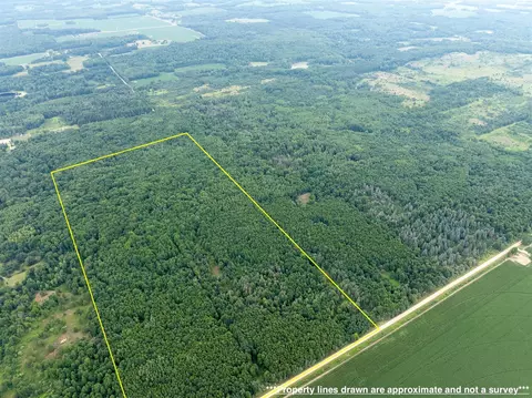 80 12 Mile, Remus, MI 49340 photo 2