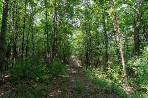 80 12 Mile, Remus, MI 49340 photo 6
