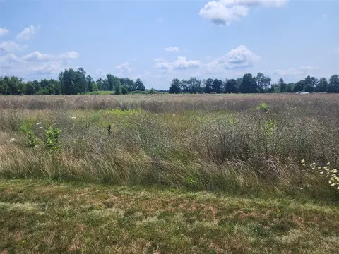 3615 S State, Ionia, MI 48846