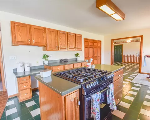 204 W Hatmaker, Coldwater, MI 49036 photo 12