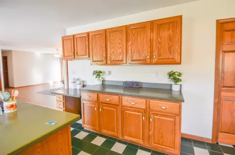 204 W Hatmaker, Coldwater, MI 49036 photo 10