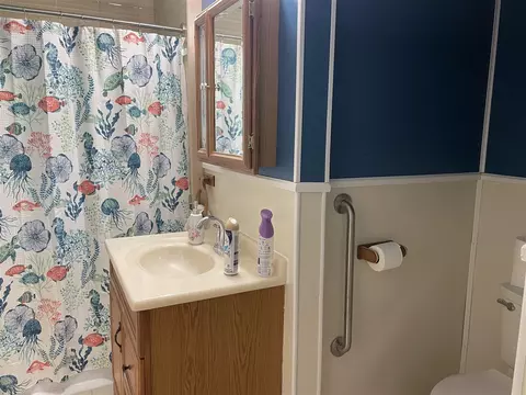 Bath - 257 106th, Plainwell, MI 49080 photo 1 of 5