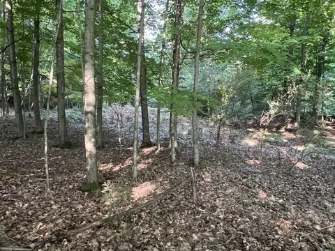 Vl Fountain, Ludington, MI 49431