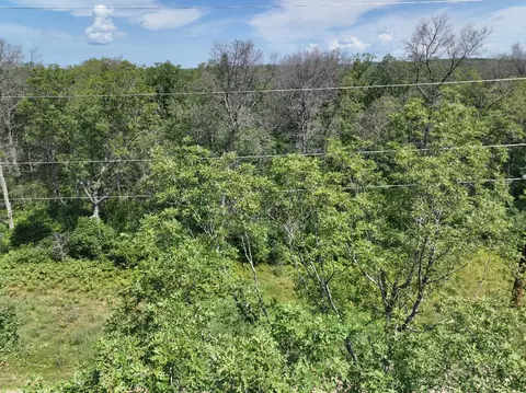 00 E Boltwood, Chase, MI 49623 photo 15