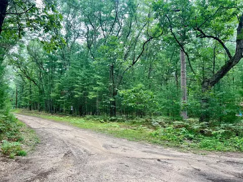 Vl Fernwood, Baldwin, MI 49304 photo 2