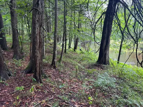 Lot 10 Anne Dr, Walkerville, MI 49459 photo 4