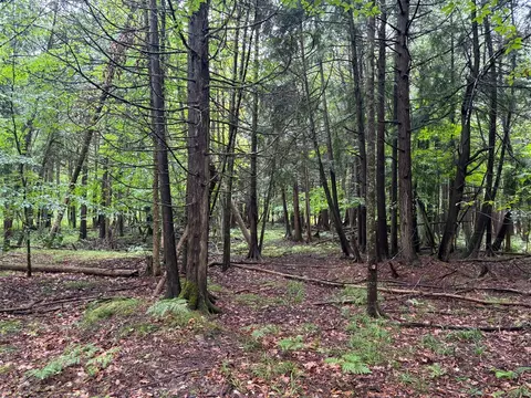 Lot 10 Anne Dr, Walkerville, MI 49459 photo 6