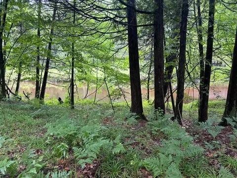 Lot 10 Anne Dr, Walkerville, MI 49459 photo 2