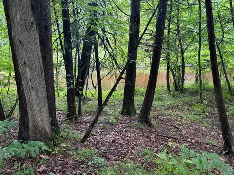 Lot 10 Anne Dr, Walkerville, MI 49459 photo 7