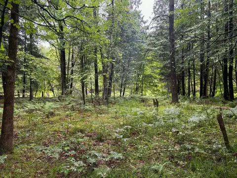 Lot 10 Anne Dr, Walkerville, MI 49459 photo 3