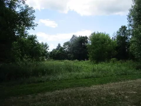 402 W Bradford, Stanton, MI 48888 photo 5
