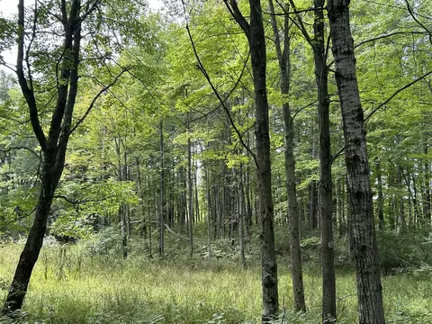 V/l 30th Ave, Remus, MI 49340 photo 3