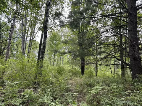 V/l 30th Ave, Remus, MI 49340 photo 2
