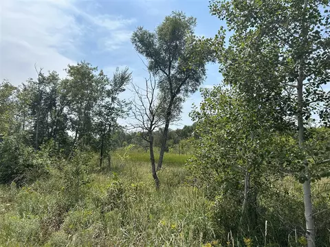 V/l 30th Ave, Remus, MI 49340 photo 9