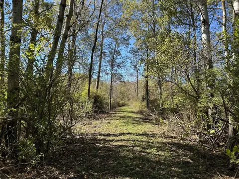 V/l 30th Ave, Remus, MI 49340 photo 4