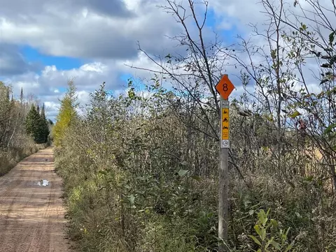 11900 W Irish Line, Brimley, MI 49715