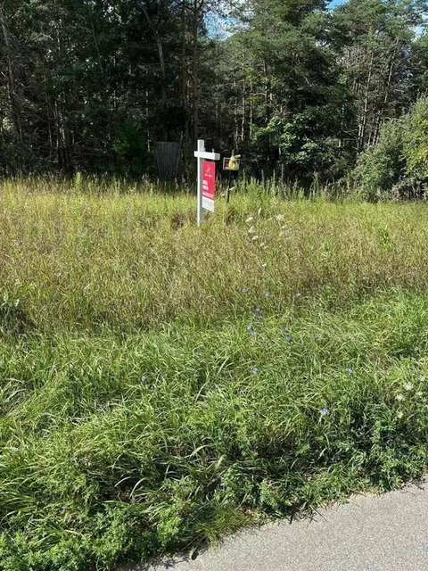 0 E 80th St, Newaygo, MI 49337 photo 2