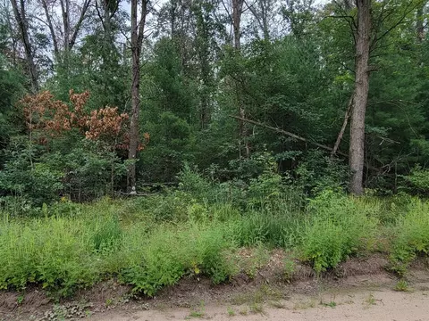 V/l Grove, Baldwin, MI 49304 photo 3