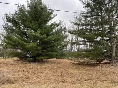 11527 Pinecrest, Canadian Lakes, MI 49346