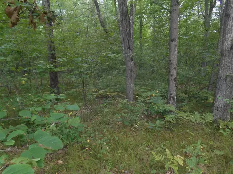 881 N N Pne, White Cloud, MI 49349 photo 2