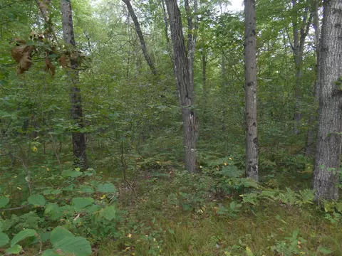 881 N N Pne, White Cloud, MI 49349 photo 20