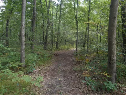 881 N N Pne, White Cloud, MI 49349 photo 19