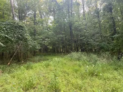Vl N 19th, Plainwell, MI 49080 photo 10