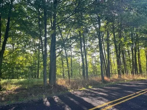 Vl N 19th, Plainwell, MI 49080 photo 5