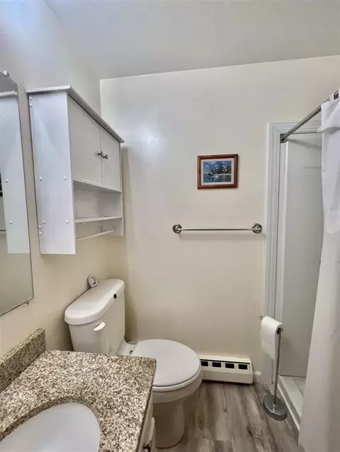 3240 Totem, Reading, MI 49274 photo 45