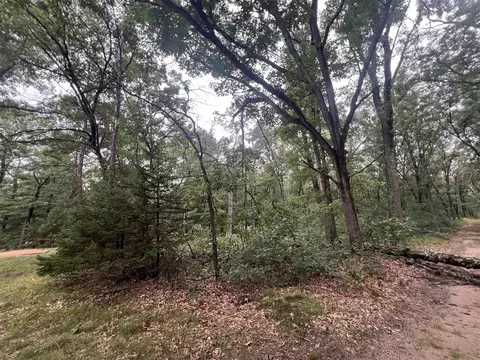 Lot 52 Winesap Rd, Baldwin, MI 49304 photo 10